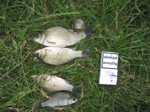 IMG_4150.JPG