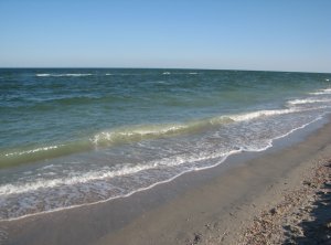 IMG_0208.JPG