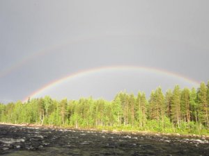 IMG_0183.JPG