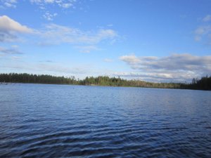 IMG_0197.JPG