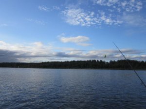 IMG_0198.JPG