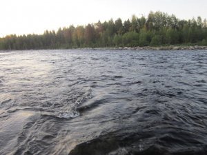 IMG_0210.JPG