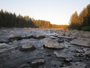 IMG_0215.JPG