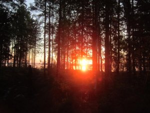 IMG_0218.JPG