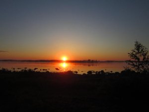 IMG_0219.JPG