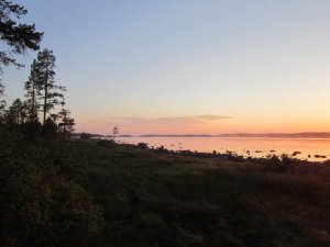 IMG_0220.JPG