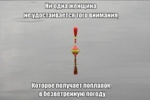 попл.jpg