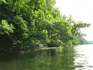 IMG_0061.JPG