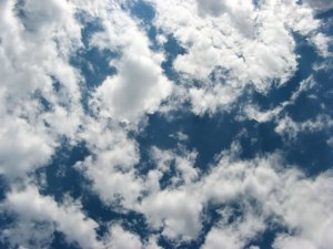 IMG_0210.JPG