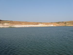 IMG_2017.JPG