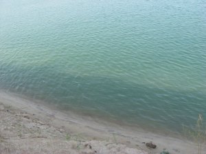 IMG_2020.JPG