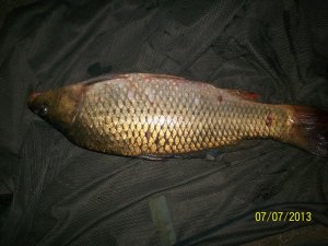 100_3598.JPG