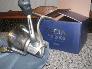 IMG_3351.jpg