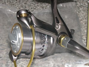 IMG_3358.jpg