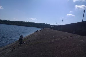 IMAG0346.jpg