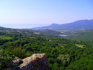 SDC15173.JPG