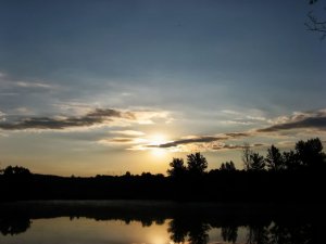 IMG_0296.JPG