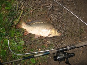 IMG_0305.JPG