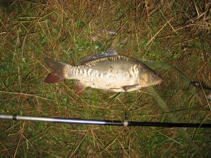 IMG_0311.JPG