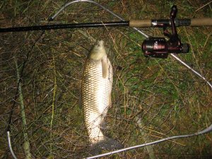 IMG_0312.JPG