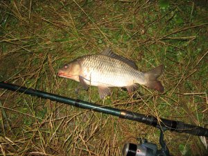 IMG_0314.JPG