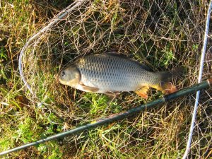 IMG_0315.JPG