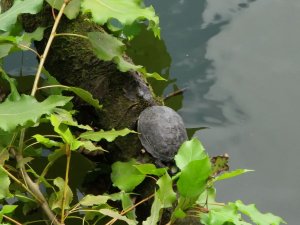 IMG_0322.JPG