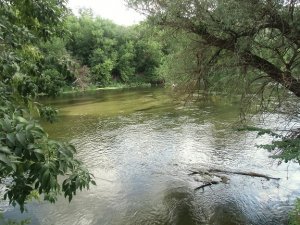 CIMG0306.jpg