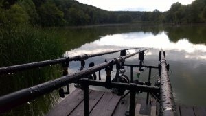 2013-07-20 17.10.49.jpg