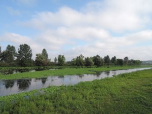 DSCN0738.JPG