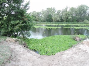 DSCN0750.JPG