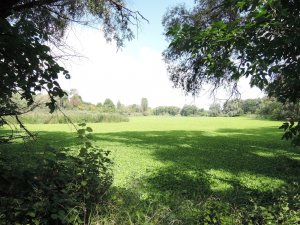 DSCN0815.JPG