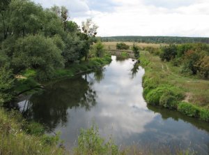 IMG_0507.JPG