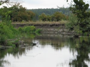 IMG_0539.JPG