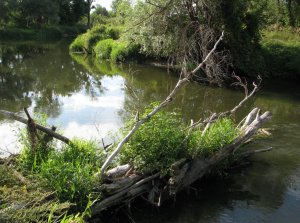 IMG_0522.JPG