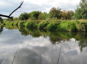IMG_0527.JPG