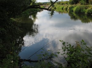 IMG_0530.JPG