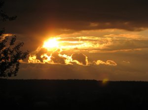 IMG_0547.JPG