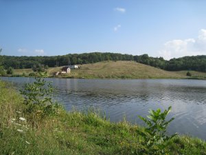 IMG_0454.JPG