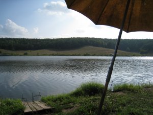 IMG_0455.JPG