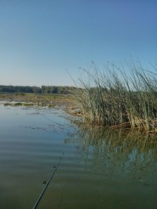 IMG_20130811_081148.jpg