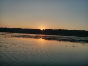 IMG_20130811_053845.jpg