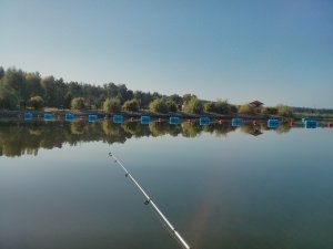 IMG_20130811_074605.jpg