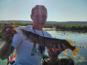 IMG_20130811_081227.jpg