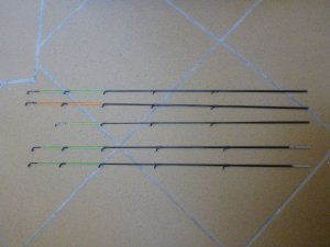 P1010359(1).jpg