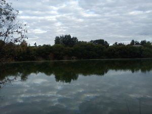 DSC00230.jpg