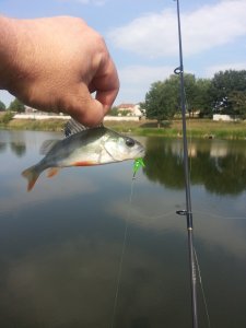 20130823_094430.jpg