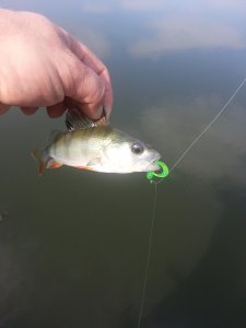 20130823_094506.jpg