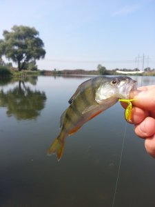 20130823_110135.jpg