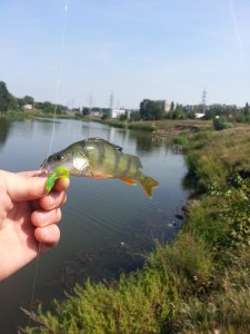 20130823_112151.jpg